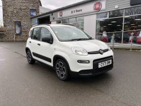 FIAT PANDA 2021 (71) at B V Rees Cardigan